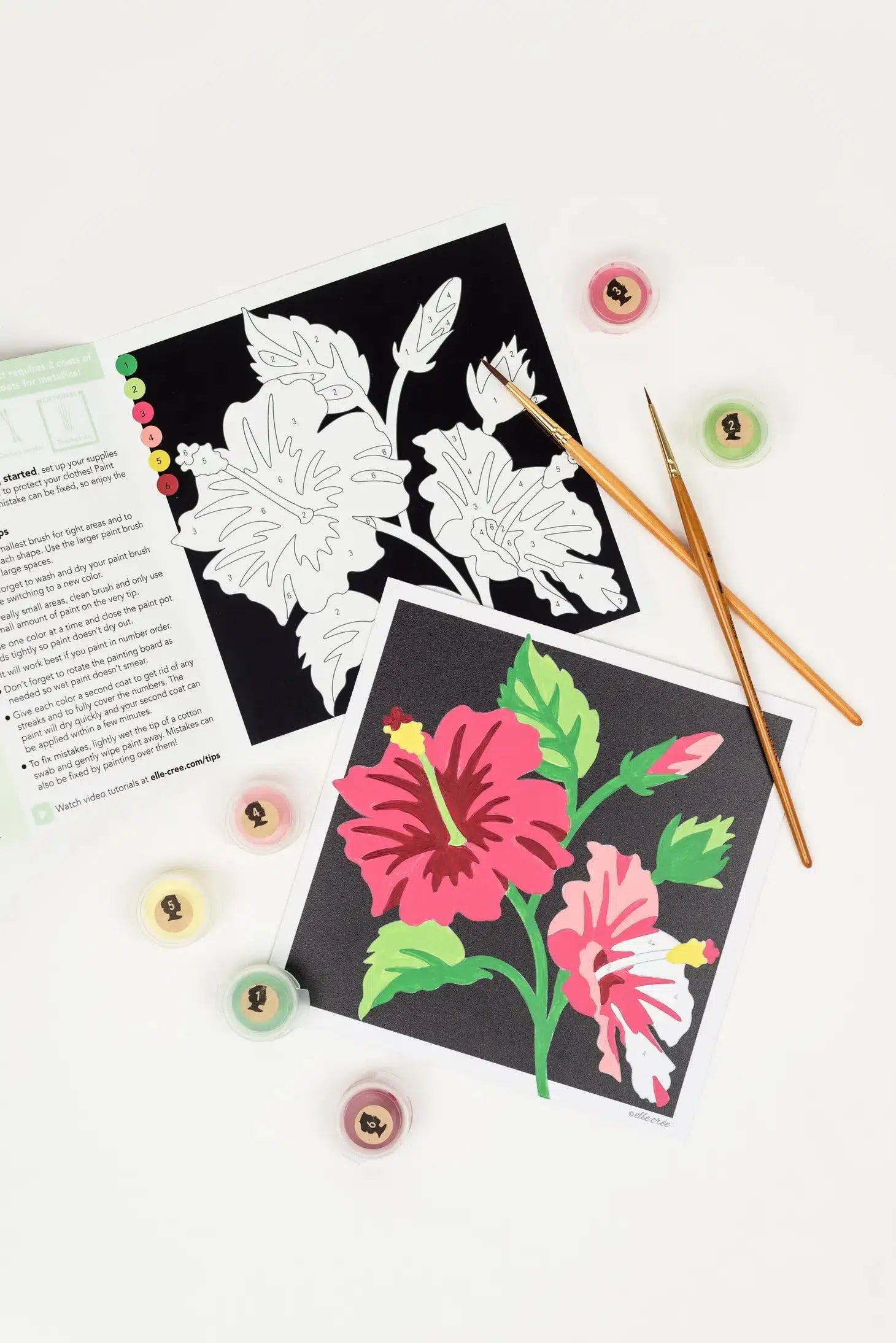 Hibiscus MINI Paint-by-Number Kit