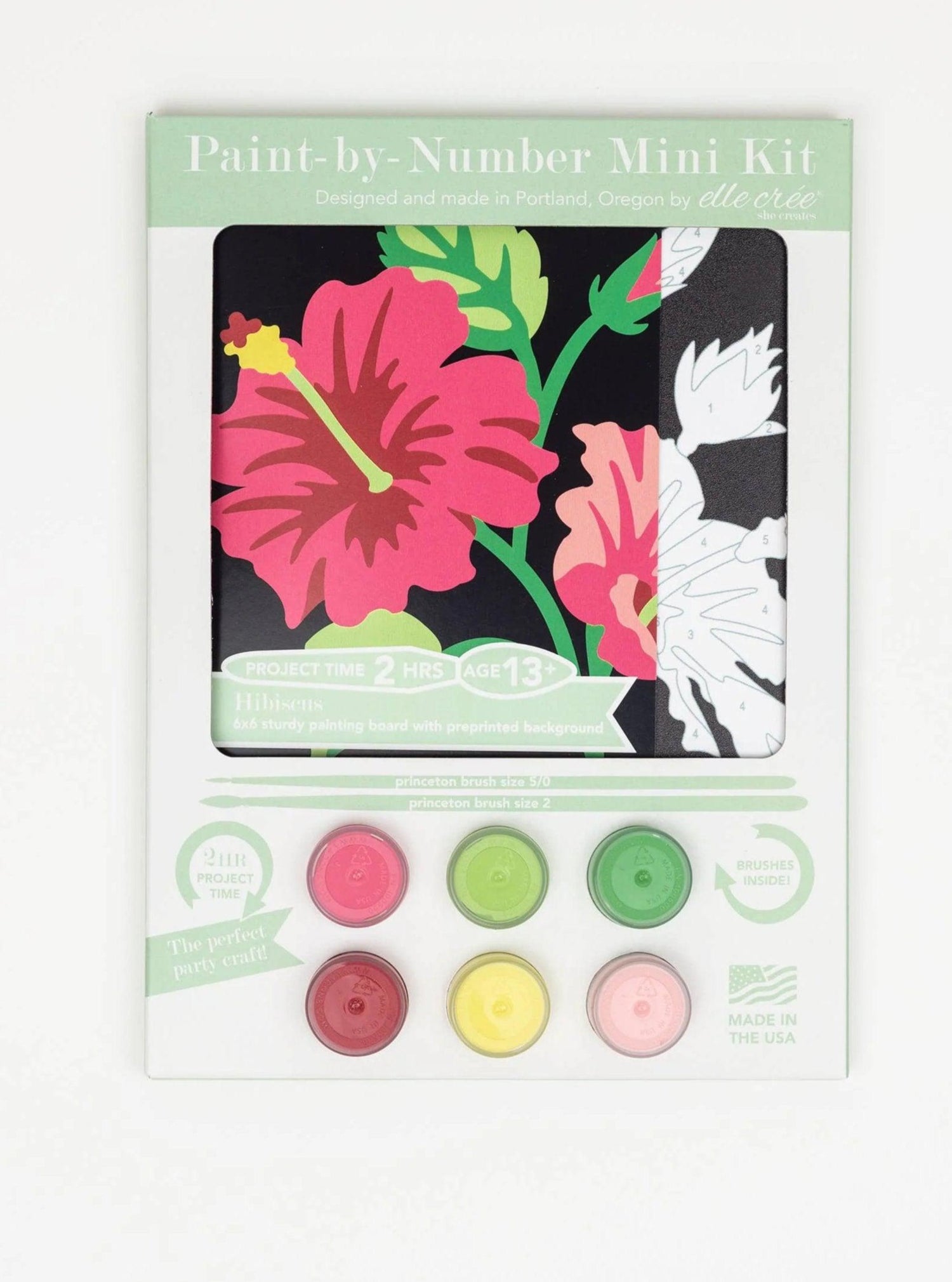 Hibiscus MINI Paint-by-Number Kit